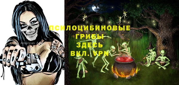 тгк Верея
