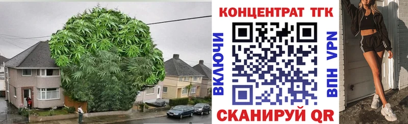 Дистиллят ТГК THC oil  MEGA tor  Ковров 